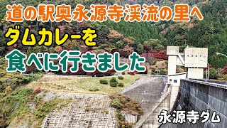 道の駅奥永源寺渓流の里へ、ダムカレーを食べに行きました