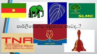 පාර්ලිමේන්තුවේ බහුතර කැමැත්ත කාටද? Who have the parliament majority ?