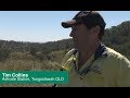 Woody Weed Specialists Customer Insight - Tim Collins