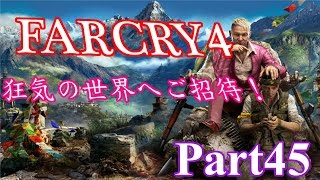 【Far Cry4ファークライ4】日本語吹き替え版！狂気の世界へご招待！Part45