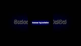 මැස්සෙක් මදුරුවෙක්වත් උඹ ගාව නවතින්නෑ😎😎🤫 #motivation #viral #trending #shorts #shortsfeed #short #yt