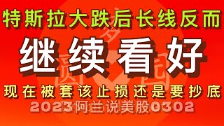 [阿兰说美股] 特斯拉“投资者日”见光后大跌，为何反而说特斯拉更值得长线拥有，现在该止损还是该抄底？#tsla ＊点击下方[说明]栏内的链接成为会员，修美股功夫做美股狙击手！