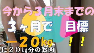 『減量部』ダイエット　始めます　目標　―２０kg　運動不足　解消　自主トレ　筋トレ　減量　トレーニング　お腹　ぽっこり　痩せたい　野球　復帰　怪我