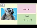 【japanese phrases】casual spoken japanese phrases for beginners no.2 日语日常口语短语