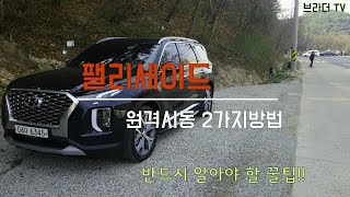 팰리세이드 원격시동 2가지 방법(스마트키, 블루링크)