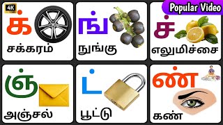 மெய் எழுத்துகள் | mei ezhuthukal | Learn Tamil Letters | க் ங் ச் ஞ் ட் @AliceWorld-KidsTV