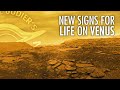 Signs For a Strange Type of Life on Venus with Dr. Janusz Petkowski