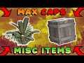 Crazy Rare Misc/Junk Items You Must Have | Part 1 | Greens/Create | Fallout 76