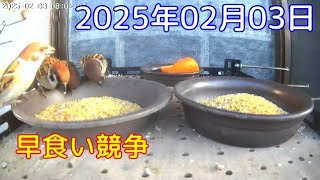 2025年02月03日 毎朝大会が開かれています😊