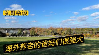 70岁立志学英语的老乡，带猫跨国旅行的老阿姨，神奇老夫妻的公交车之旅吗，聊聊海外养老的爸妈们幸福充实又勇敢强大的生活能力。