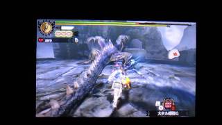 ＭＨ４　ミラボレアス　ソロ　操虫棍　１４分３９秒討伐