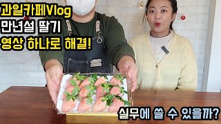 [Cafe Vlog] 만년설딸기의 모든 것 (ft 과일카페 시점)