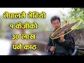 नेपालमै भेटियाे 1KG काे ३० लाख पर्ने काठ Saptarangi Ojhelkakhabar | Resham Bohora