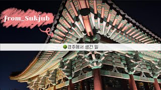 경주 힐링 브이로그🌝 꽉채운 2박 3일 경주 여행 코스 +꿀팁 ! | 경북천년숲정원 | 향화정 | 불국사 / 동궁과 월지 / 월정교 | 핑크뮬리 | 경주힐튼호텔