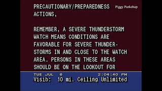 EAS Severe Thunderstorm Watch #338 Minnesota and Iowa NOAA Weather Radio +WeatherSTAR4000