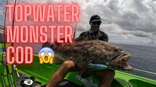 GIANT BLACK SPOTTED COD CAUGHT ON TOPWATER OFF BRISBANE