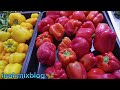 Lulu super market|Oman #vlog