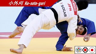 小外刈/足技 Ko-soto-gari/Ashi-waza | #柔道100技 #Judo100Waza