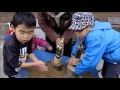 佐世保市天神小学校「門松づくり」 ２０１５年