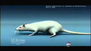 Medical Breakthrough First Stem Cell Procedure