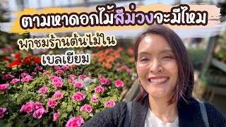 EP.45 ตามหาดอกไม้สีม่วง พร้อมพาชมร้านต้นไม้ในเบลเยียม I แม่บ้านเบลเยียม