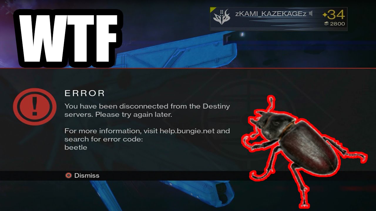 Destiny Error Code: Beetle @Bungie - YouTube