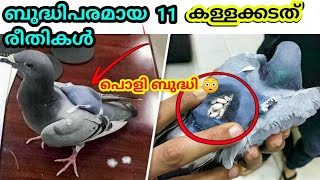 ബുദ്ധിപരമായ 11 കള്ളക്കടത് രീതികൾ | Top Think Malayalam | Malayali Cafe | Bigg Boss Malayalam