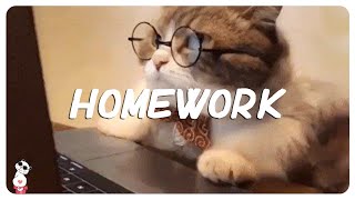 Songs to listen to while doing homework ~ Best relaxing songs for studying