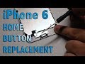 iPhone 6 home button replacement