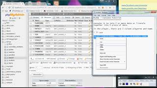 MySQL - Concat (Concatenation) Function