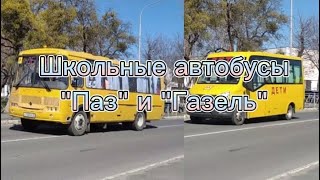 Школьные автобусы \