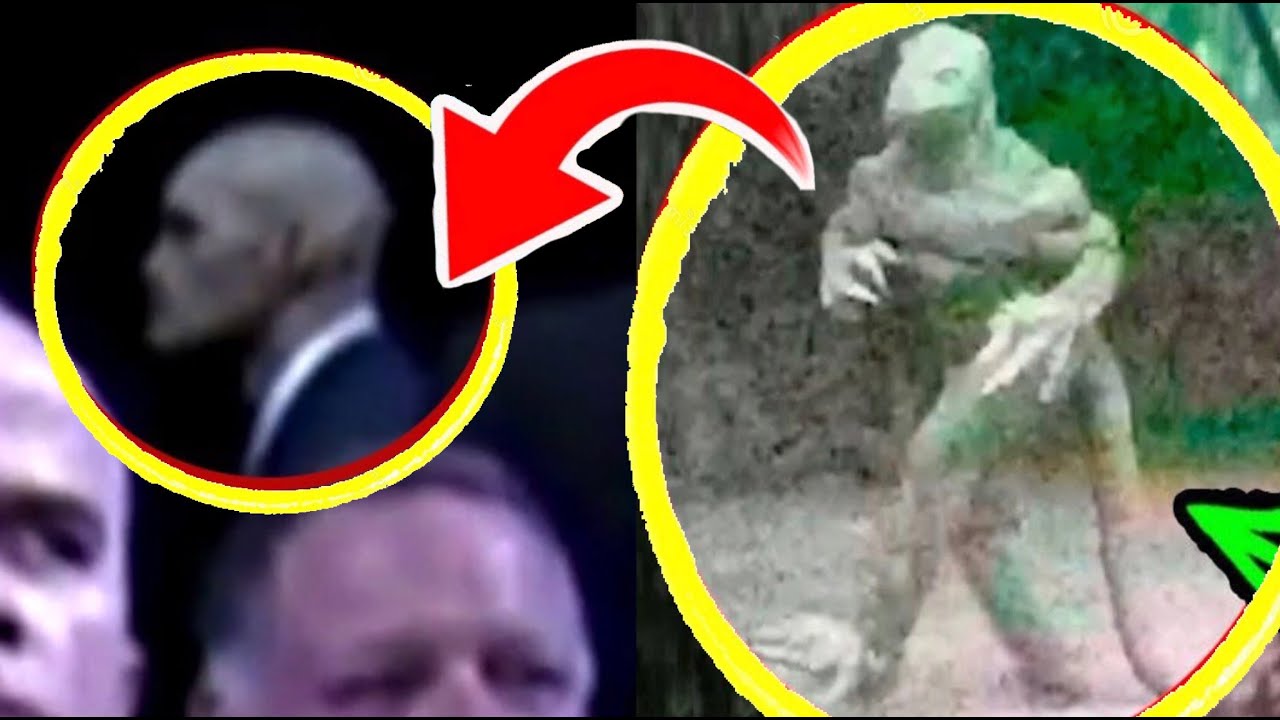 Reptiliano Visto En La Vida Real ¿Existen Los Reptilianos? - YouTube