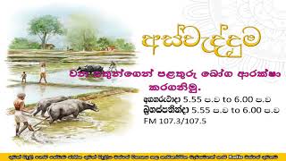 වන සතුන්ගෙන් පළතුරු බෝග ආරක්ෂා කරගනිමු. Aswedduma 2020.01.21 programme