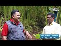 spices board vice chairman stany pothan large cardamom plants in idukki best cardamom planters