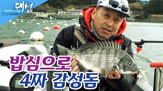 [하이라이트] FishingTV 낚시하는 사람 대섭 - 밥심으로 4짜 감성돔