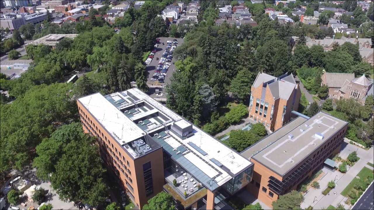 Aerial View Of The Beautiful University Of Washington - YouTube