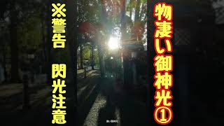 【物凄い 御神光 2021/3①】狭井神社 境内 大神神社 夕刻 1/3 Oomiwa-jinja Shrine Nara Japan（まぶしいのが苦手な方は御視聴をお控え下さい）#Shorts