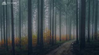 SLEEP INSTANTLY with Heavy Rain and Distant Cracking Thunder  in Misty Forest 💤 ASMR Sleep