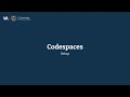 Codespaces setup