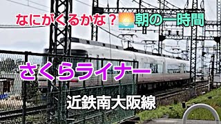 #何が来るかな？ #近鉄南大阪線 朝の１時間 １５本 #近鉄特急 #さくらライナー