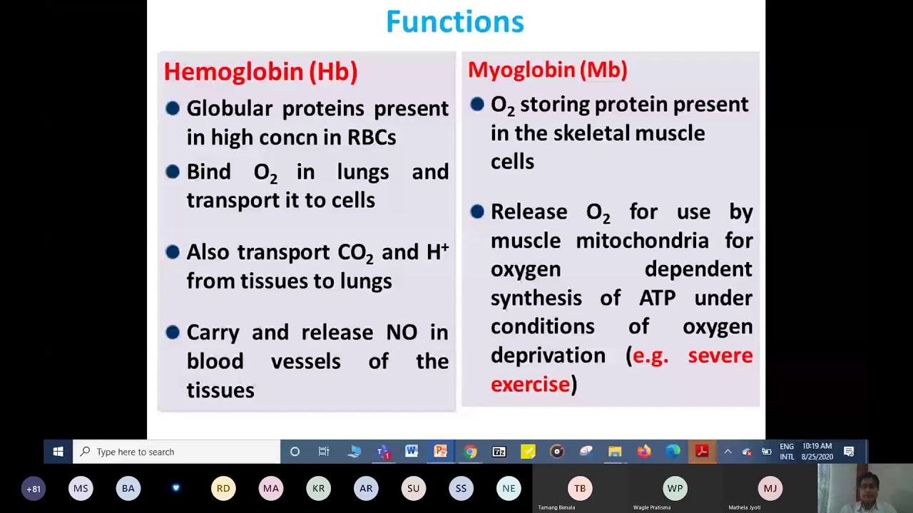 Biochemistry Of Hemoglobin And Myoglobin | MBBS Lecture - YouTube