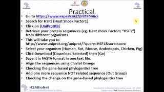 IBT_2016 Building a Multiple Sequence Alignment :Practical 1