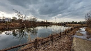 【柏の葉第2水辺公園】柏の葉第2水辺公園から柏の葉公園まで歩いてみました【柏の葉公園】