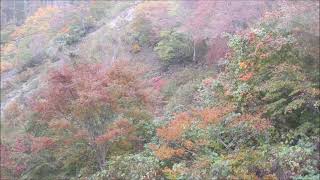 秋山郷布岩山紅葉2019