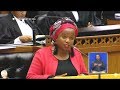 DA Phumzile van Damme endorse new ICASA Council - Parliament