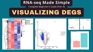 RNA-seq Data Visualization Tutorial: Volcano Plot, Heatmap & PCA with ggplot2