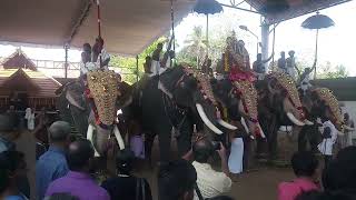 Ettumanoor ulsavam 2023 live 7th day