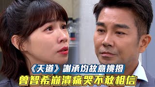 《天道》謝承均故意挑撥 曾智希崩潰痛哭不敢相信│ Vidol.tv