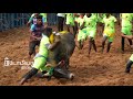 kovai jallikattu 2021 part 2 தங்கக்காசு மழையில் செட்டிபாளையம் ஜல்லிக்கட்டு திருவிழா 2021