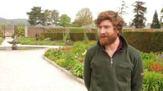 Interview with Alex Slazenger, Head Gardener at Powerscourt Estate and Gardens